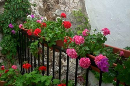 Casa Con Encanto, Escapadas Romanticas ซาโลเบรญา ภายนอก รูปภาพ